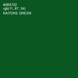 #0B5722 - Kaitoke Green Color Image