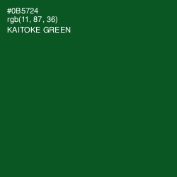 #0B5724 - Kaitoke Green Color Image