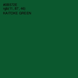 #0B572E - Kaitoke Green Color Image