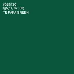 #0B573C - Te Papa Green Color Image