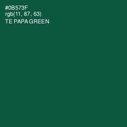 #0B573F - Te Papa Green Color Image