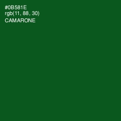 #0B581E - Camarone Color Image