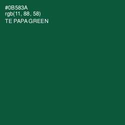 #0B583A - Te Papa Green Color Image