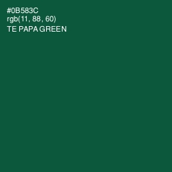 #0B583C - Te Papa Green Color Image