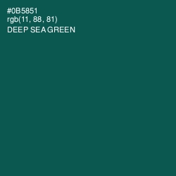 #0B5851 - Deep Sea Green Color Image