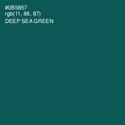 #0B5857 - Deep Sea Green Color Image