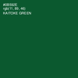 #0B592E - Kaitoke Green Color Image