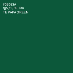 #0B593A - Te Papa Green Color Image
