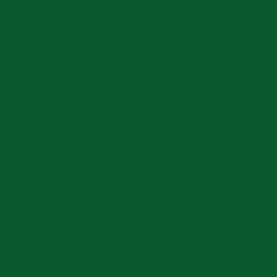 #0B5A2D - Kaitoke Green Color Image