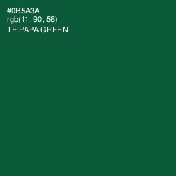 #0B5A3A - Te Papa Green Color Image