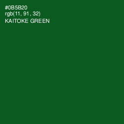 #0B5B20 - Kaitoke Green Color Image