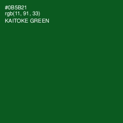 #0B5B21 - Kaitoke Green Color Image