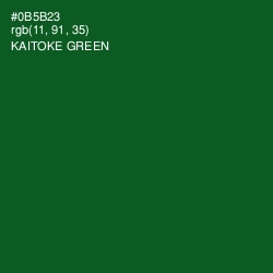 #0B5B23 - Kaitoke Green Color Image