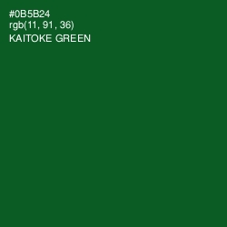 #0B5B24 - Kaitoke Green Color Image