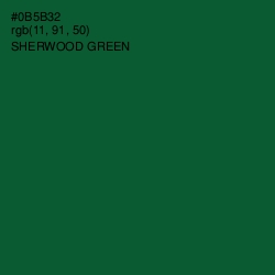 #0B5B32 - Sherwood Green Color Image