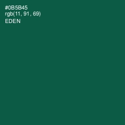 #0B5B45 - Eden Color Image