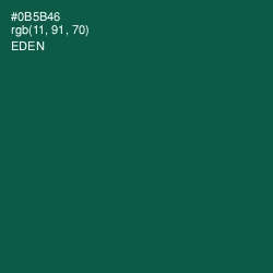 #0B5B46 - Eden Color Image