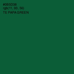 #0B5D38 - Te Papa Green Color Image