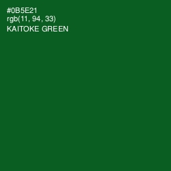 #0B5E21 - Kaitoke Green Color Image