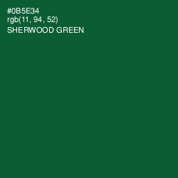 #0B5E34 - Sherwood Green Color Image