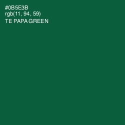 #0B5E3B - Te Papa Green Color Image