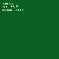 #0B5F21 - Kaitoke Green Color Image