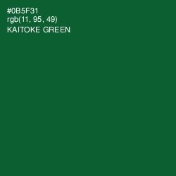 #0B5F31 - Kaitoke Green Color Image