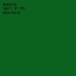 #0B611E - San Felix Color Image