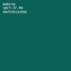 #0B6156 - Watercourse Color Image