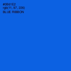 #0B61E2 - Blue Ribbon Color Image