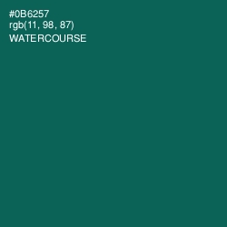 #0B6257 - Watercourse Color Image