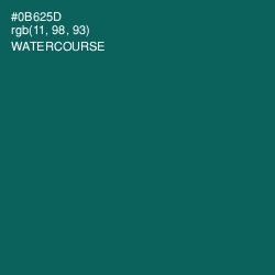 #0B625D - Watercourse Color Image