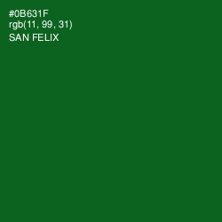#0B631F - San Felix Color Image