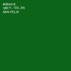 #0B6418 - San Felix Color Image