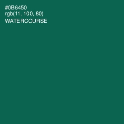 #0B6450 - Watercourse Color Image