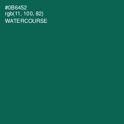 #0B6452 - Watercourse Color Image