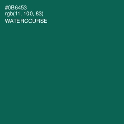 #0B6453 - Watercourse Color Image