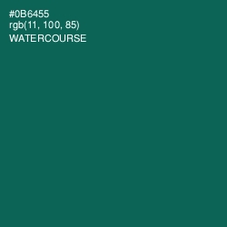 #0B6455 - Watercourse Color Image