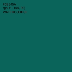 #0B645A - Watercourse Color Image