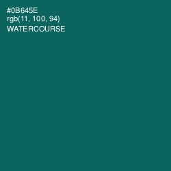 #0B645E - Watercourse Color Image