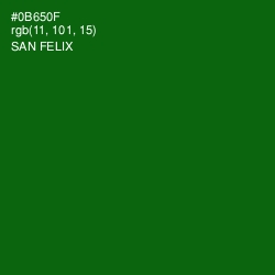#0B650F - San Felix Color Image