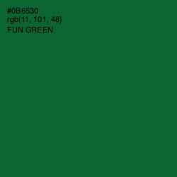 #0B6530 - Fun Green Color Image