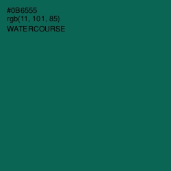 #0B6555 - Watercourse Color Image