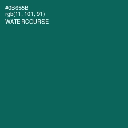 #0B655B - Watercourse Color Image