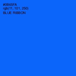 #0B65FA - Blue Ribbon Color Image