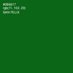 #0B6617 - San Felix Color Image