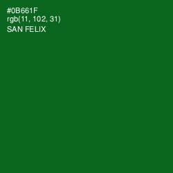 #0B661F - San Felix Color Image