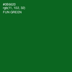 #0B6620 - Fun Green Color Image