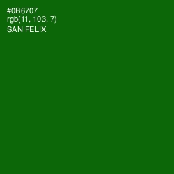 #0B6707 - San Felix Color Image