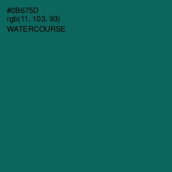 #0B675D - Watercourse Color Image